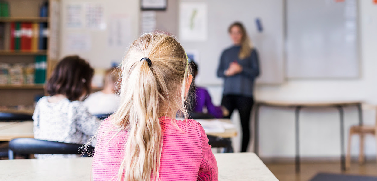 Student reviewing school accommodation plan documents