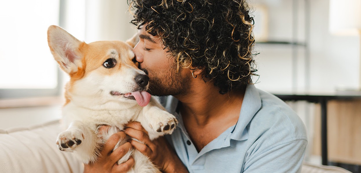 Are All Emotional Support Animals A Scam