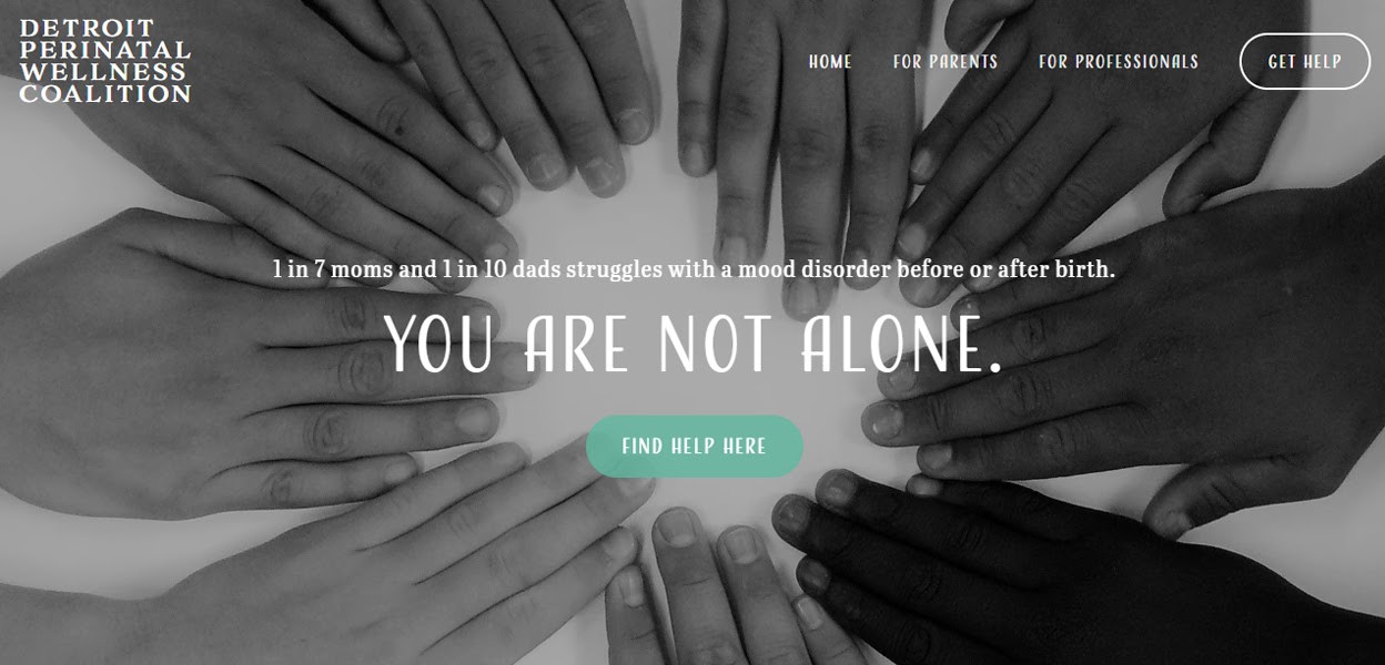 Detroit Perinatal Wellness Coalition