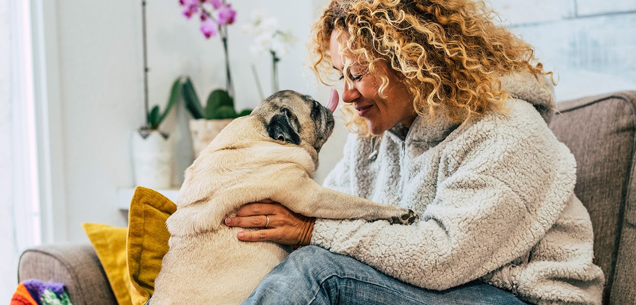 Emotional Support Animals Are Not Licensed Or Certified