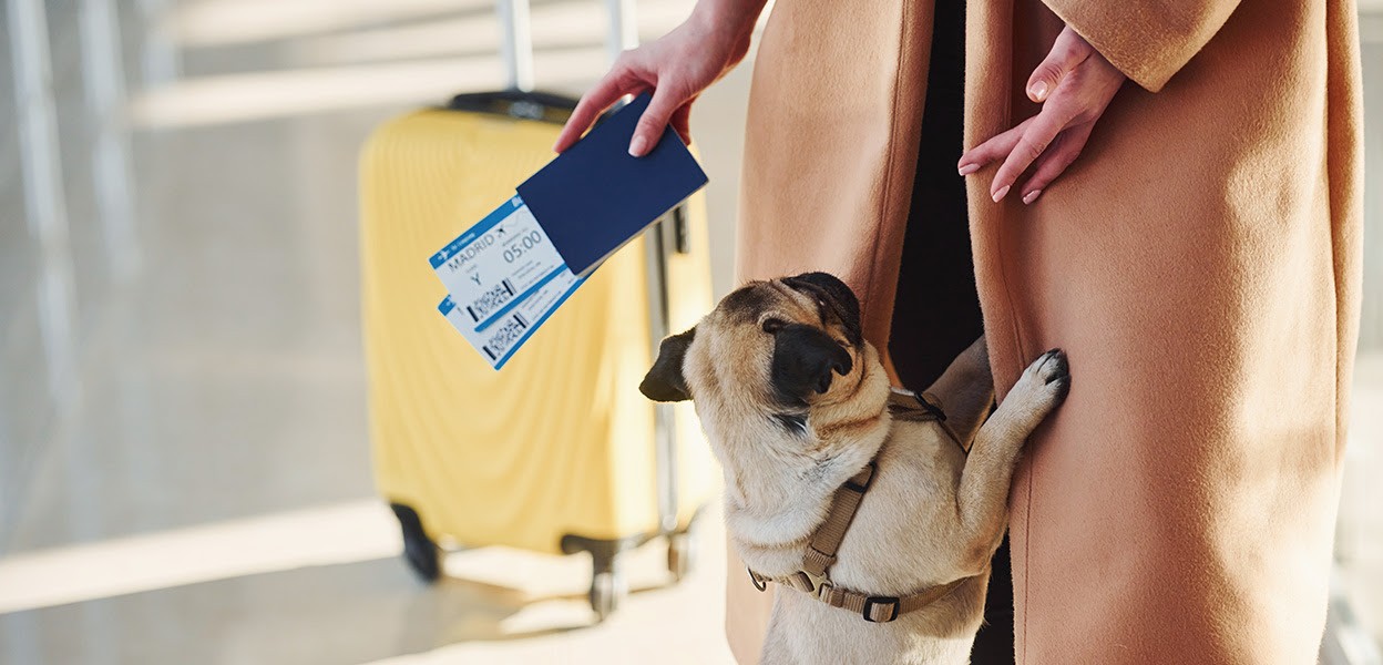 Emotional Support Animals Have Some Access But Not Much
