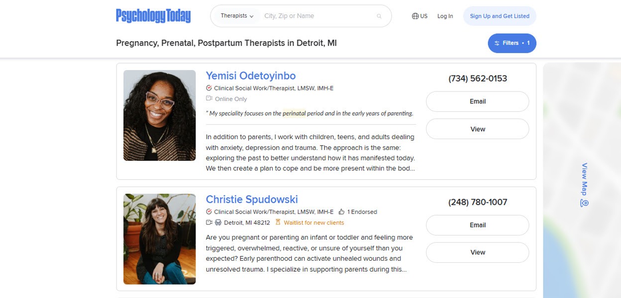 Individual Therapists