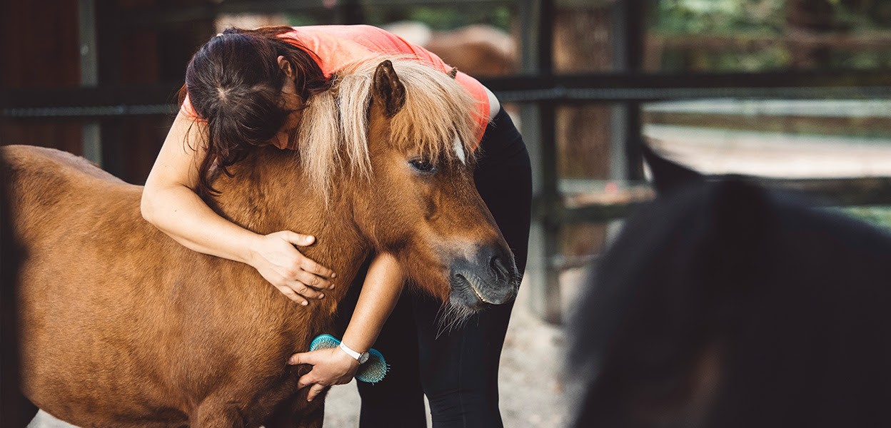 Nearly Any Domesticated Animal Can Be An Emotional Support Animal