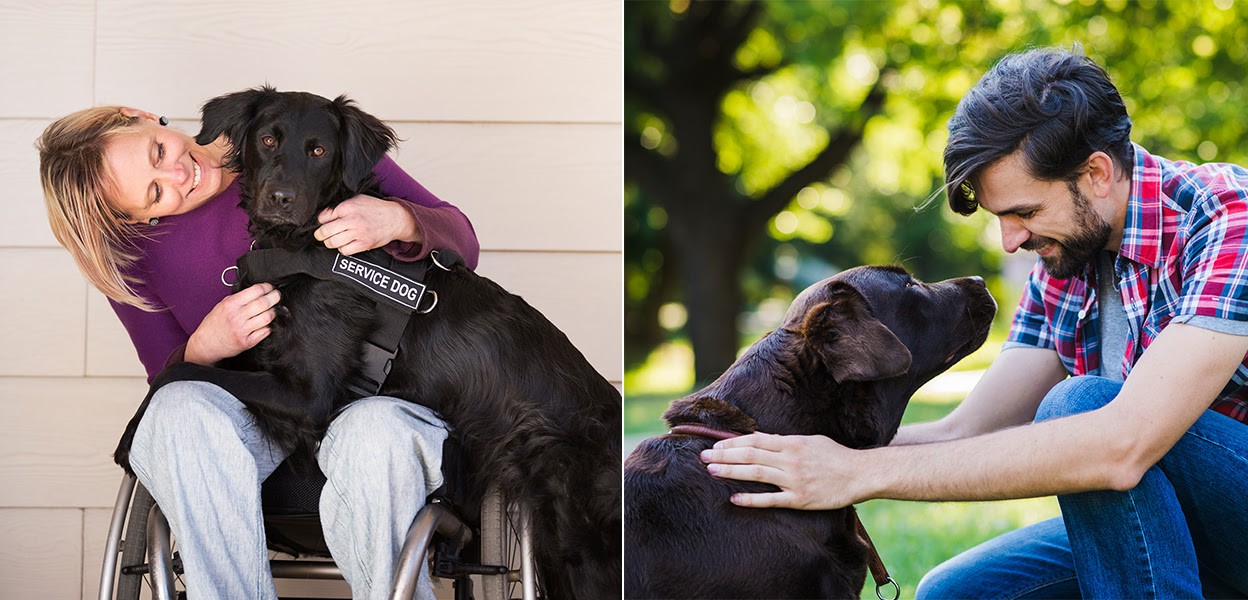 Service Animals Vs Emotional Support Animals